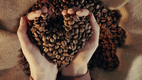 hands holding coffee beans in heart shape