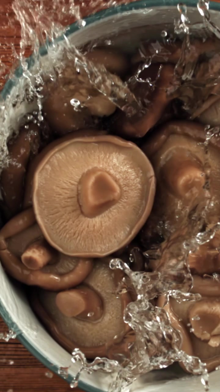 Ferske shiitake-sopp som vaskes i en bolle