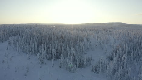 Drone-shot-of-a-cold-winter-landscape-in-northern-Sweden-during-sunset