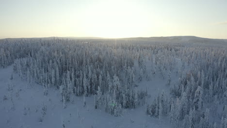 drone shot of a cold winter landscape in northern sweden during sunset