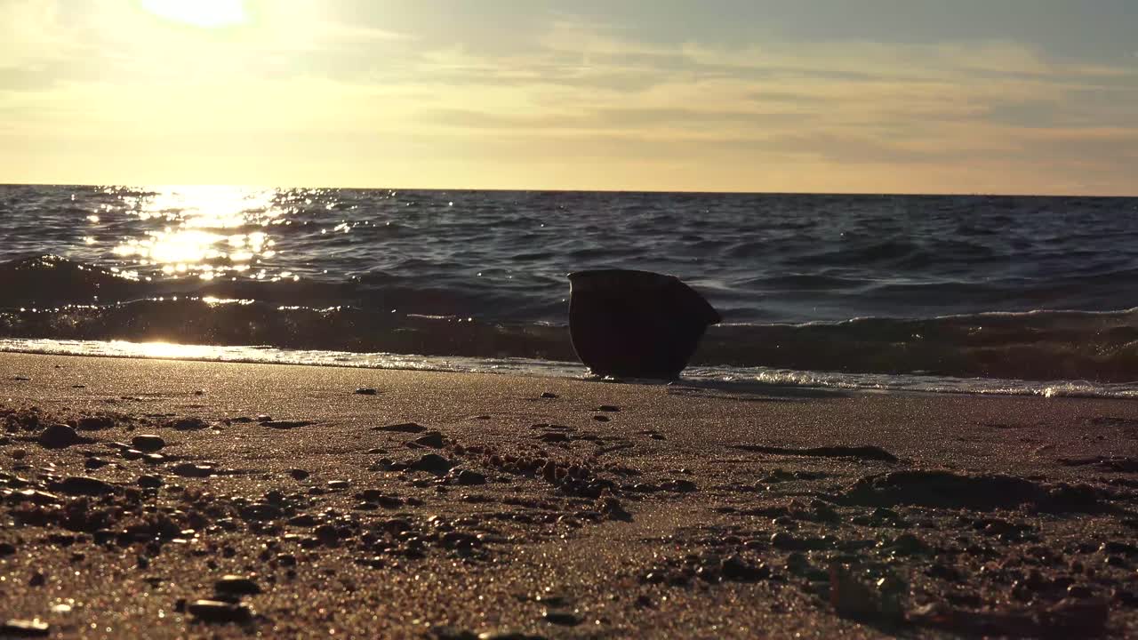 m1헬멧은 제2차 세계대전부터 pasgt헬멧으로 계승된 1985년까지 미군이 사용하던 전투헬멧이다.