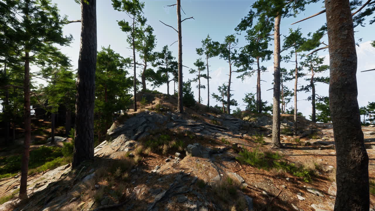 paisaje forestal sereno con pinos y montañas