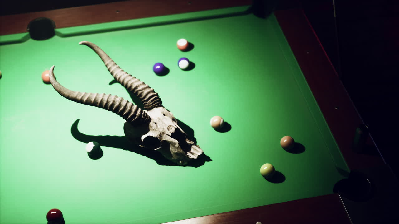 공이 있는 빌리어드 테이블 에 있는 동물 의 두개골