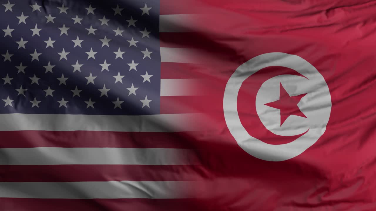 bandera de los estados unidos y tunisia animación de agitaciones de primer plano sin costuras. fondo de los estados unidos y tunisia renderización 3d, resolución 4k