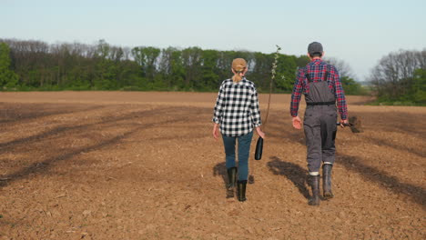 agricultores que plantan árboles