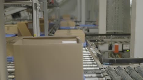 conveyor belts move brown cardboard boxes through a modern factory's packaging line