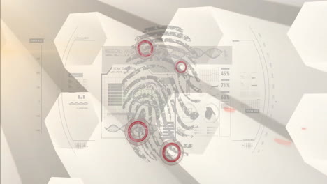 fingerprint scan and medical analysis animation over hexagonal shapes and data charts