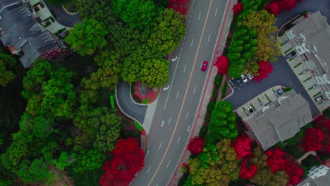 aerial view captures a car cruising along a road lined with lush, colorful autumn trees in the atlanta suburbs