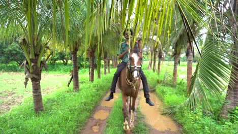 Young-handsome-man-with-brown-horse