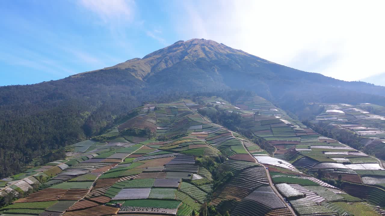 vista aérea de una plantación de verduras en la ladera de la montaña con el cielo azul en una mañana soleada