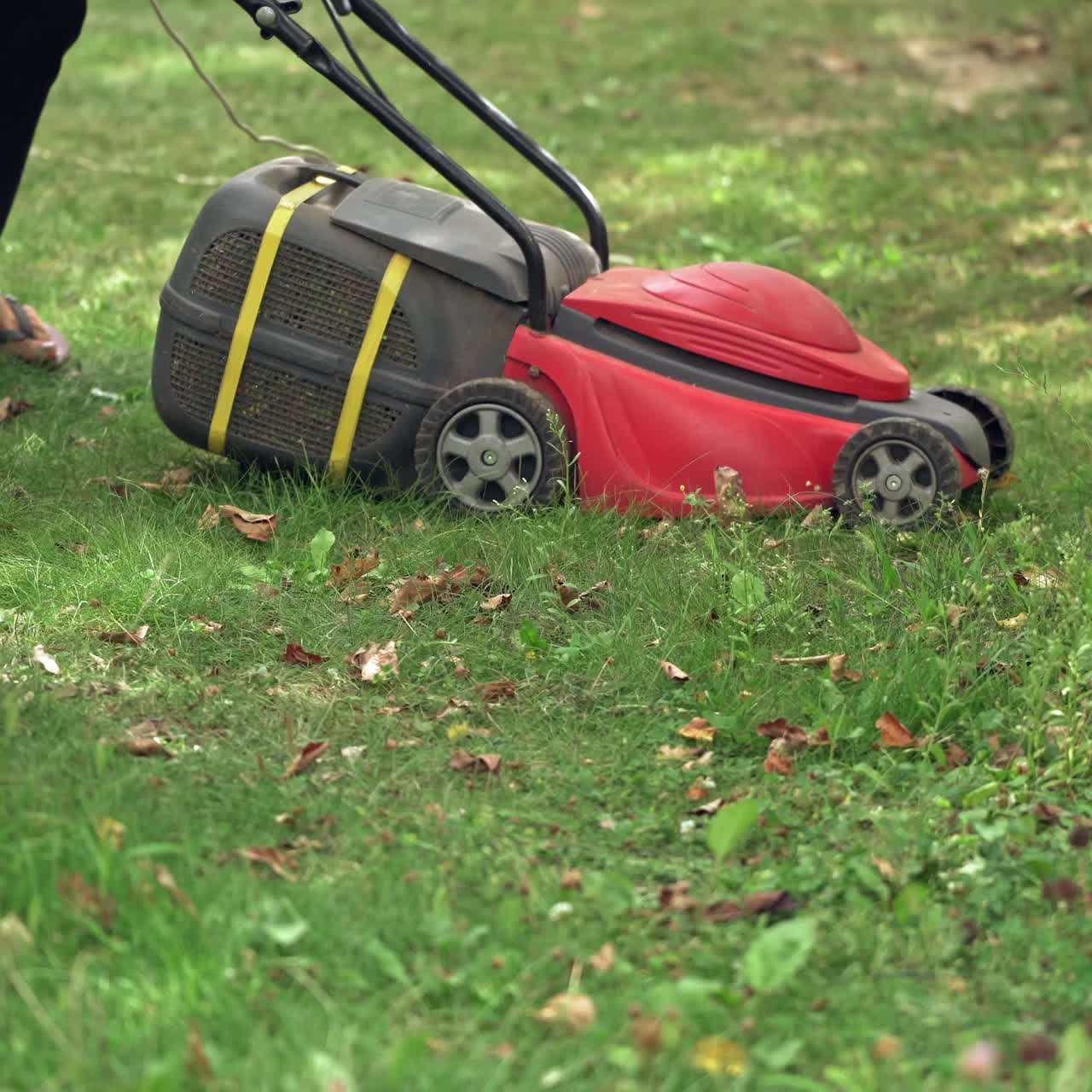 Close-up of mowing the lawn. Female Mowing Lawn in Suburbs.