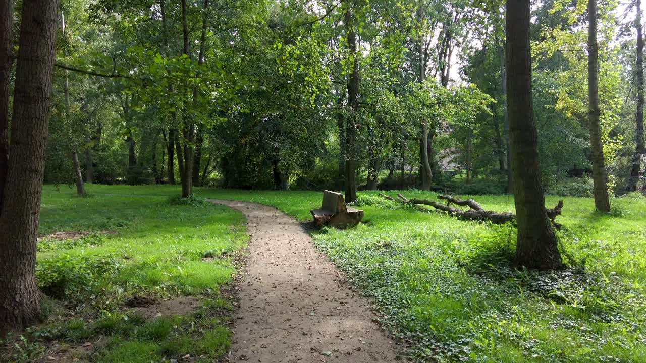 Ripresa effettuata mentre si cammina lungo un sentiero con erba verde e una foresta di alberi ad alto fusto in una giornata di sole.