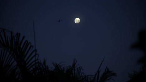 Hermosa-Vista-Nocturna-Mirando-A-Través-De-Las-Frondas-De-Palma-Silueteadas,-A-Un-Cielo-Nocturno-Azul-Claro-Y-Profundo-Con-Luna-Llena-Brillante,-Mientras-Un-Avión-Vuela-A-Través-De-La-Cara-De-La-Luna