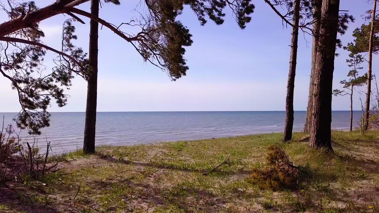 vista aérea de la costa del mar báltico en un día soleado, dunas empinadas a la orilla del mar dañadas por las olas, pinos rotos, erosión costera, cambios climáticos, establecimiento de tiros de drones de gran angular que avanzan