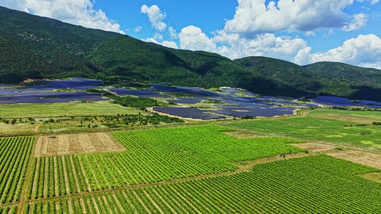 昼間の田園地帯、晴れた空の下に広がるブドウ畑、背景には雲と山々
