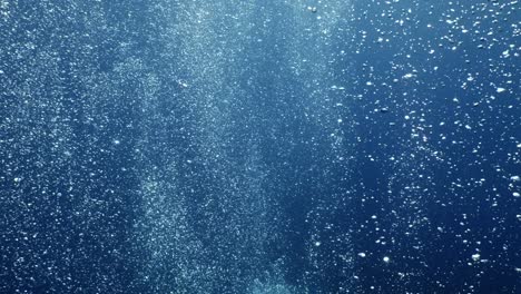 bajo el agua cerca de la superficie con el cielo vista del paisaje oceánico rayos de sol rayos del sol y burbujas de aire lentamente relajantes fondos oceánicos