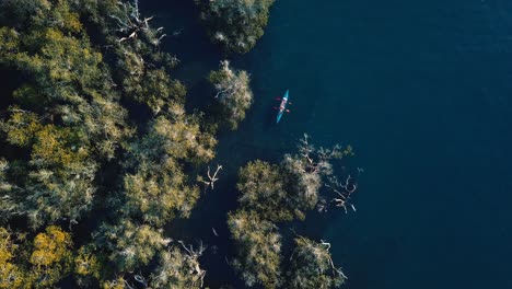 Kayak-Junto-A-Un-Gran-Manglar-En-Un-Día-Soleado,-Disparo-Aéreo-Giratorio-Con-Drones