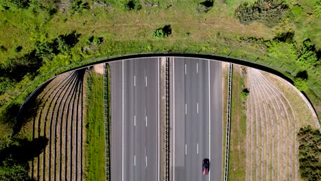 steady top down aerial view of cars and transit traversed by wildlife crossing ecoduct bridge for animals to migrate between conservancy areas