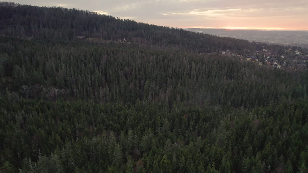 Foresta sempreverde con conifere dense vicino a Holmenkollbakken a Oslo, Norvegia. Vista aerea.