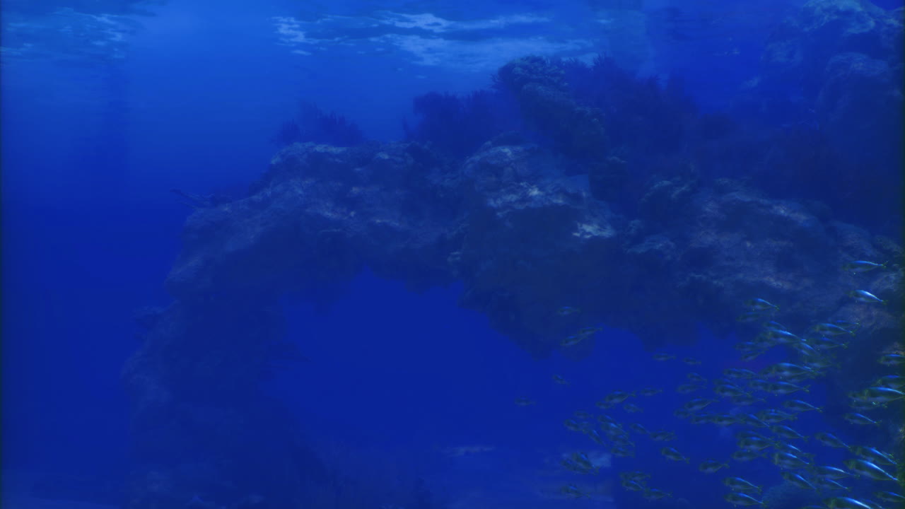 Underwater scene of rocky formations and vibrant marine life