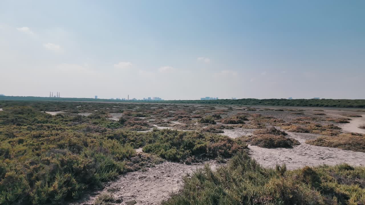 A peaceful escape into nature at Al Zorah Mangrove in Ajman, UAE, where birds and marine life flourish.
