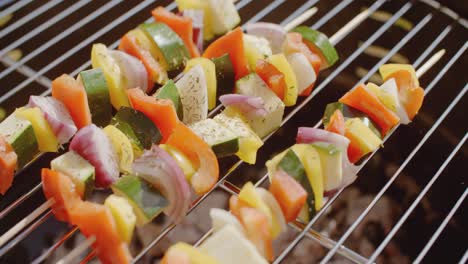 Healthy-colorful-kebabs-with-fresh-vegetables