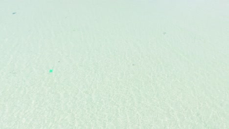 aerial view dolly of the clear sea water in ninh hải district.