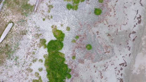 Aerial-Top-Down-View-with-Rotating-Pull-Out-Movement-Over-Grey-Bay-Beach,-BC,-Canada