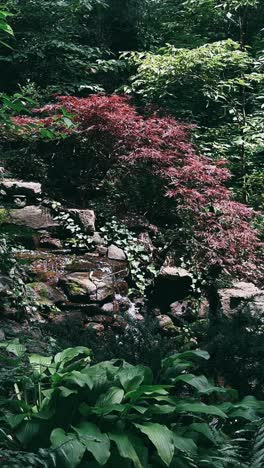 peaceful japanese garden with water feature and red maple trees