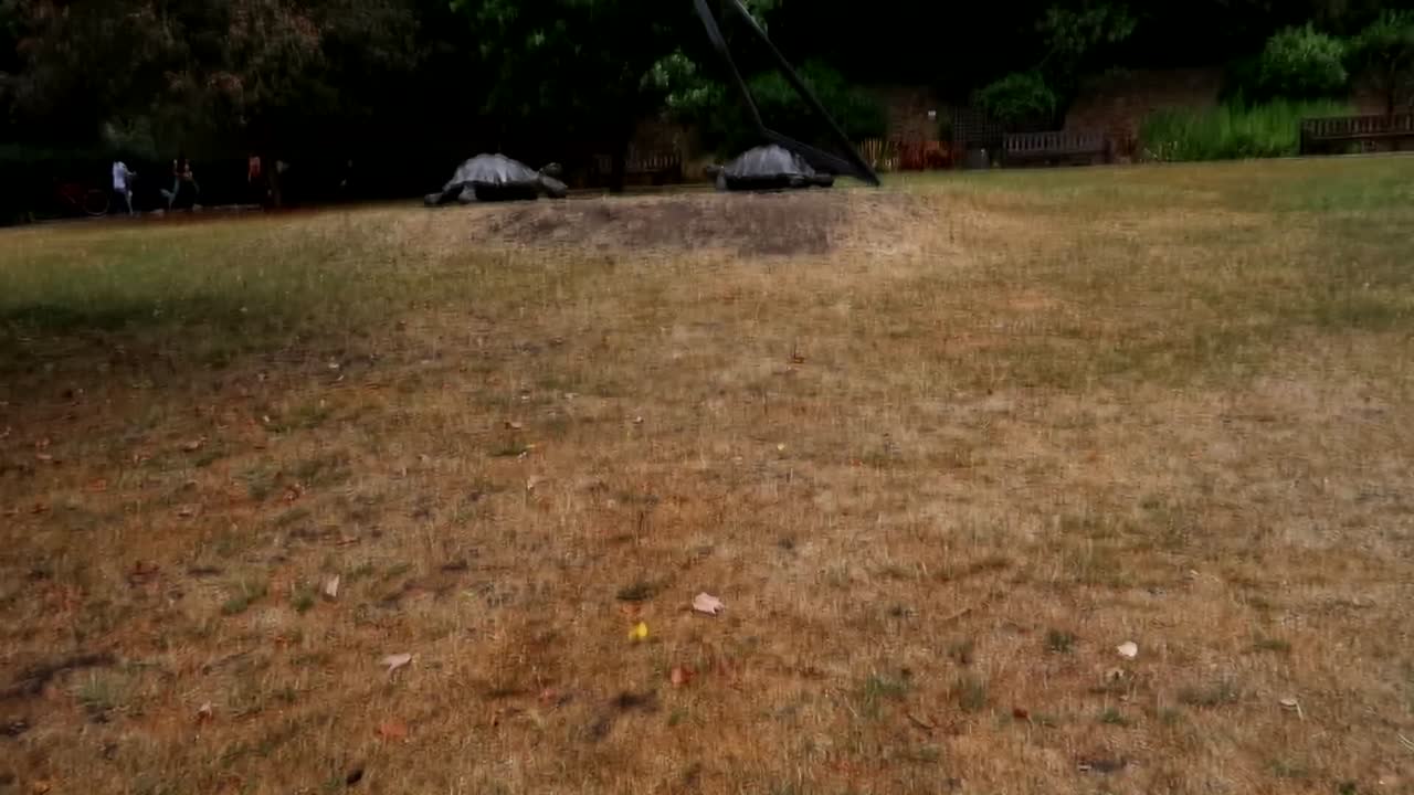 primer plano de tortugas con triángulo y escultura de tiempo, inclinación hacia arriba revela tortugas