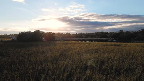 Puesta-De-Sol-Con-Empuje-De-Bengala-En-La-Entrada-Con-Silueta-De-árboles-Y-Hierba