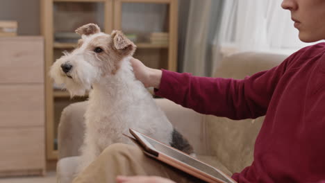 man with tablet petting dog