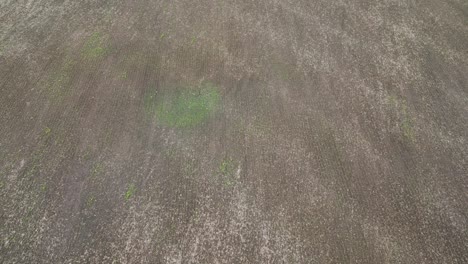 flying over open dirt farmland. aerial drone shot