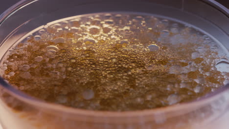 Close-up of golden liquid surface with numerous bubbles