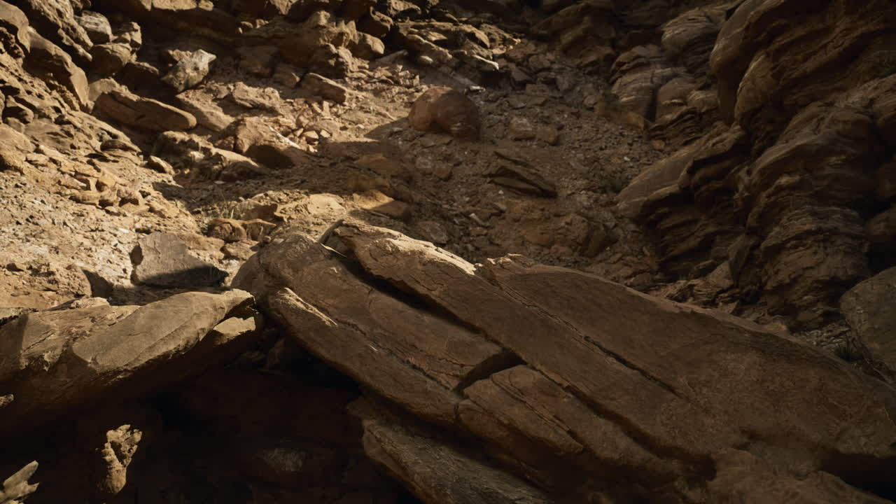 Rugged terrain showcasing rocky surfaces and natural formations in a canyon