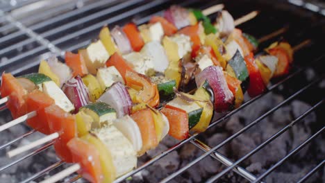 delicious vegetable kabobs on grill