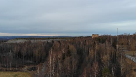 Drone-Elevándose-Sobre-Los-árboles-En-Stråssa