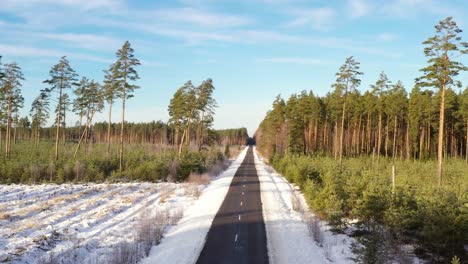 Straight-empty-road-ahead-in-winter-between-pine-tree-forest