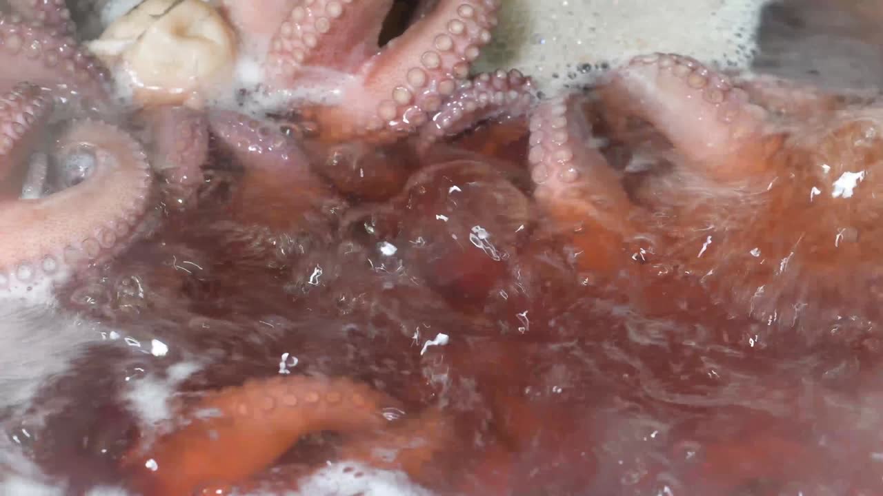 Puts a big Octopus with really long tentacles in hot water boiling in a pot