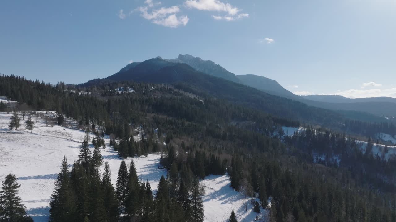 Snowy mountain landscape with scattered trees on a bright day aerial view