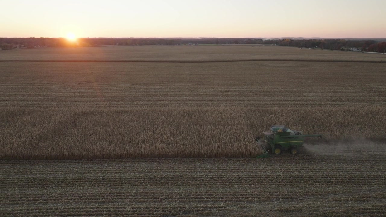Riprese con drone di una mietitrebbia che lavora in un campo di mais al tramonto, catturando la vasta distesa di terreni agricoli con luce dorata e cieli sereni.
