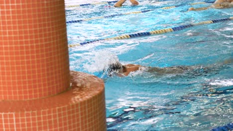 competición de natación en piscina cubierta