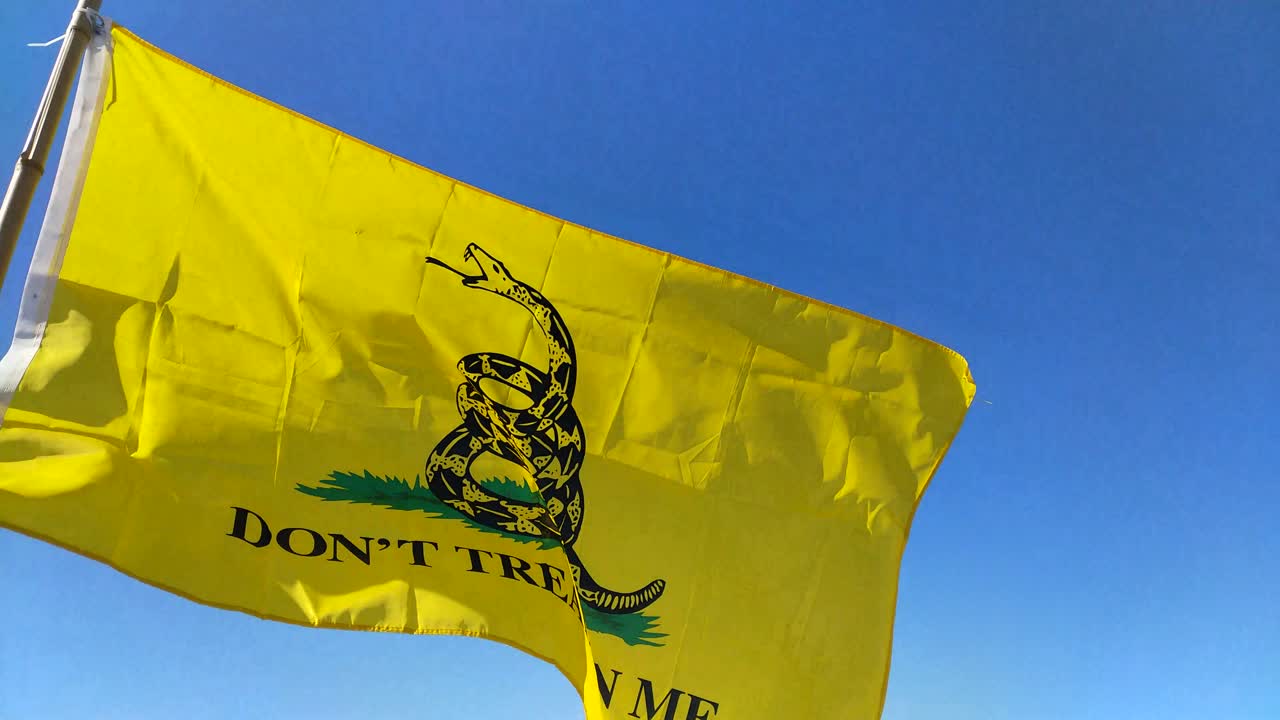 este es un video de la bandera de gadsden ondeando al viento