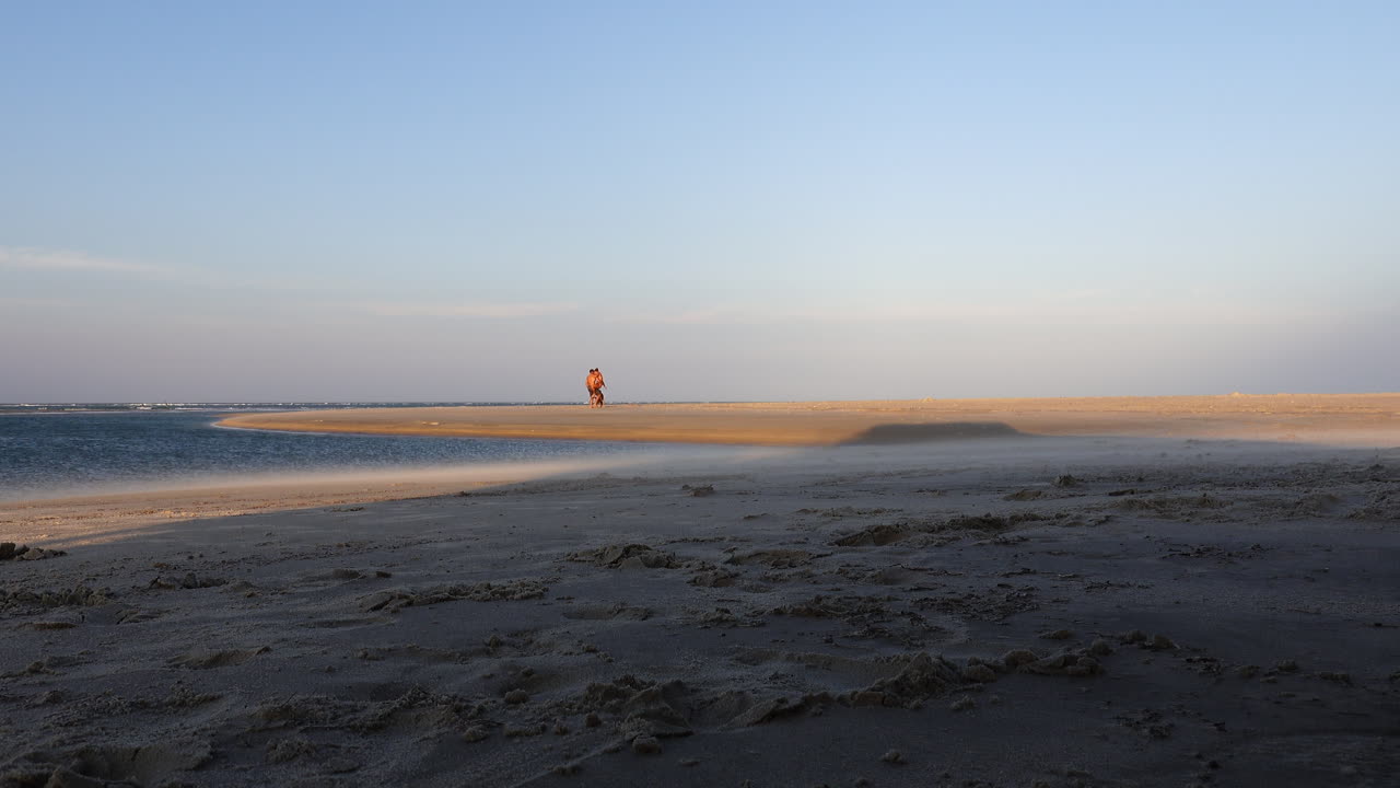 Distant shot of a romantic couple running on a beach with their dog, embracing each other and taking in the beautiful moment together