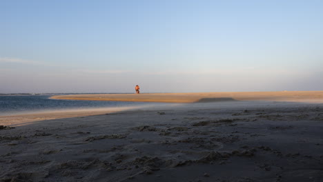 distant shot of a romantic couple running on a beach with their dog, embracing each other and taking in the beautiful moment together
