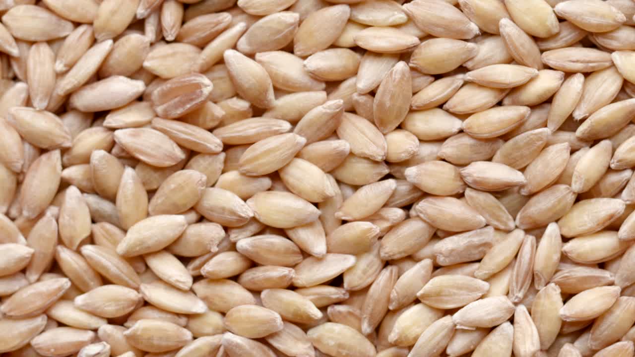 cerca de las semillas de espelta crudas semillas que giran en círculo