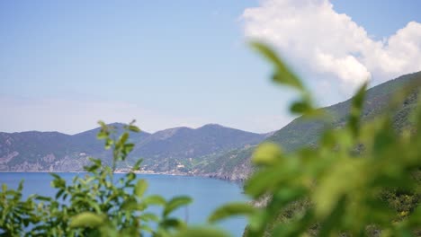 前景に木があるチンクエテッレの美しい海岸線