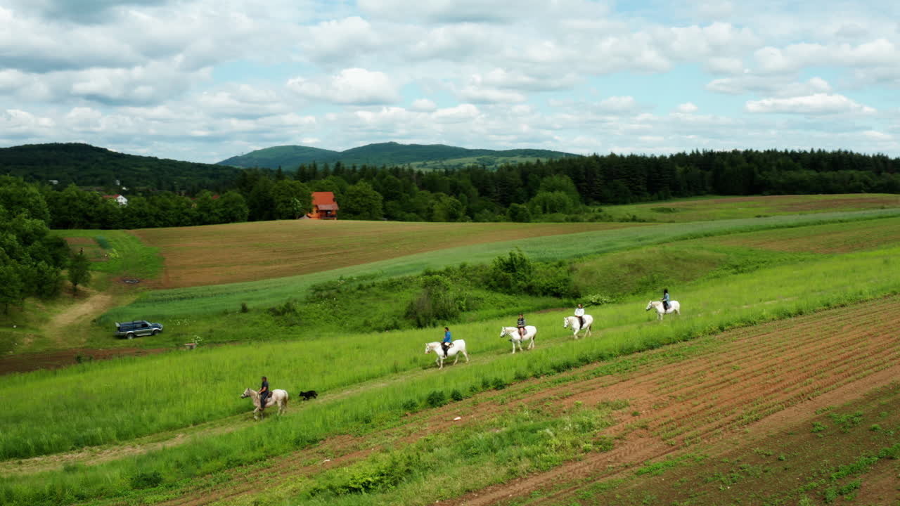 paisaje aéreo de croacia, grupo a caballo explora el campo