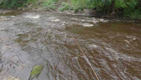 una foto de una línea de mosca siendo arrojada a un río marrón de flujo rápido tratando de atrapar peces