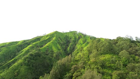 lush green hills covered in dense vegetation with a bright sky in the background